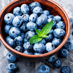 3 Blueberry Plants Live for Planting, Highbush Blueberry Bush Live Plants 1 Year Old (3 Southern Blueberry Plants)