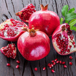Pomegranate Tree Live Plant, 5 to 7 Inc Tall Seedling, Pomegranate Plant for Gardening