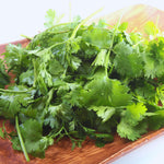 Live Cilantro Plant, Herb Plant, Cilantro Vegetable Plants, 3 to 6 Inc Tall, Easy to Grow
