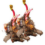 Pack 5 Rhubarb Plants Roots for Planting, Common Rhubarb Roots Live Plant, Vegetable Plant, 4 to 6 Inches Tall Garden