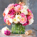 20 Mix Double Tulip Bulbs for Fall Planting, Tulip Flower Bulb, Tulip Bulbs for Growing Indoor or Outdoor