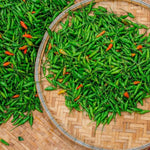 Sets 2 Chile Pequine Pepper Plants Live, Super Hot Peppers Live Plants, 90 Days Old Hot Chili Plant for Spring Planting