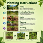 Soursop Tree Live Plant 5-9" Tall, Soursop Guanabana Tropical Fruit Tree for Gardening, Hardy Outdoor Plant