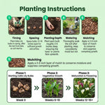Calla Lily Bulbs for Planting, Calla Lily Bulbs, Vibrant Summer Blooming Flowers for Garden and Patio Planting (Mix Calla Lily Bulbs (Set 4))