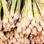 2 Lemon Grass Live Plants, Lemongrass Plants Live, 10 Inc in Height