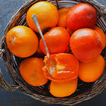 2 Persimmon Tree Live Plants Bare Roots, Live Persimmon Tree, Cold Hardy, 6-12 Inches Tall, Seedlings