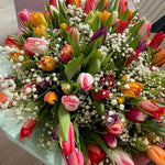 25 Tulip Bulbs for Spring Planting, Large Tulip Bulbs for Fall Planting, Flower Bulbs Garden Indoor Outdoor (Mix)