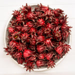 Hardy Hibiscus Plants Live, Red Roselle Hibiscus Flowers Plant from 4-6 Inches Tall, Hibiscus Sabdariffa