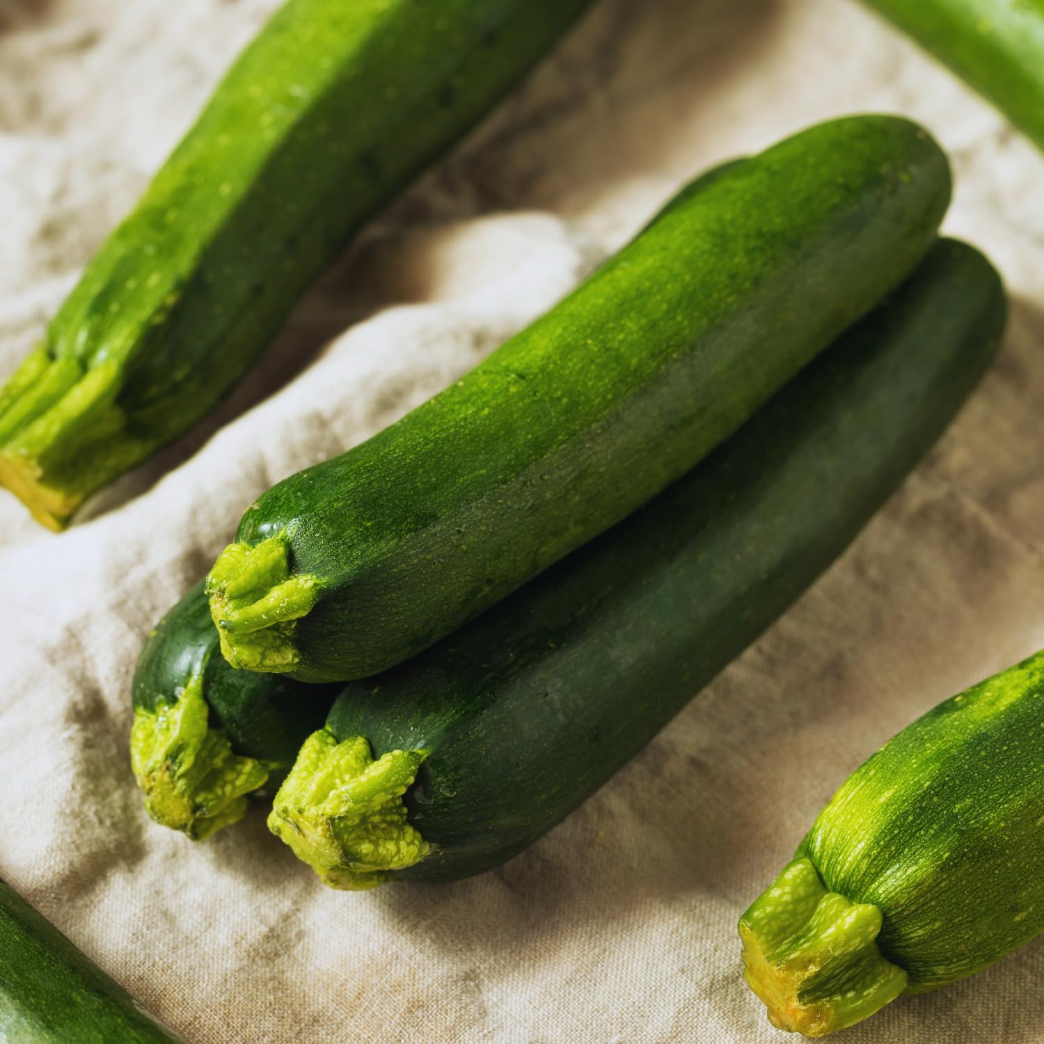 2 Live Zucchini Plants, Summer Squash Plants Live, Vegetable Plant Seedlings for Home Garden, Backyard Garden, Outdoor Planting, 4–6 Inches in Height (Green)