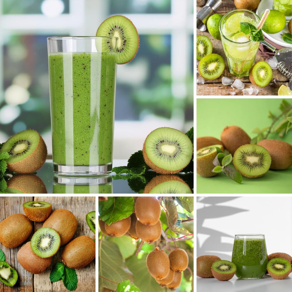 Kiwi Plants Live for Planting, Kiwi Plant Live 6-8 Inches Tall, Cold Hardy Edible Fruit Vines for Home Garden