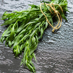 4 Frech Tarragons Live Plants, 4-7 Inch Tall, Tarragon Herb Plant, Indoor Outdoor Planting