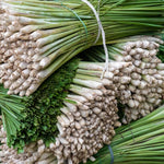 Big 5 Lemon Grass Live Plants, Lemongrass Plants Indoor Outdoor Planting, Herb Rooted Lemongrass Stalks