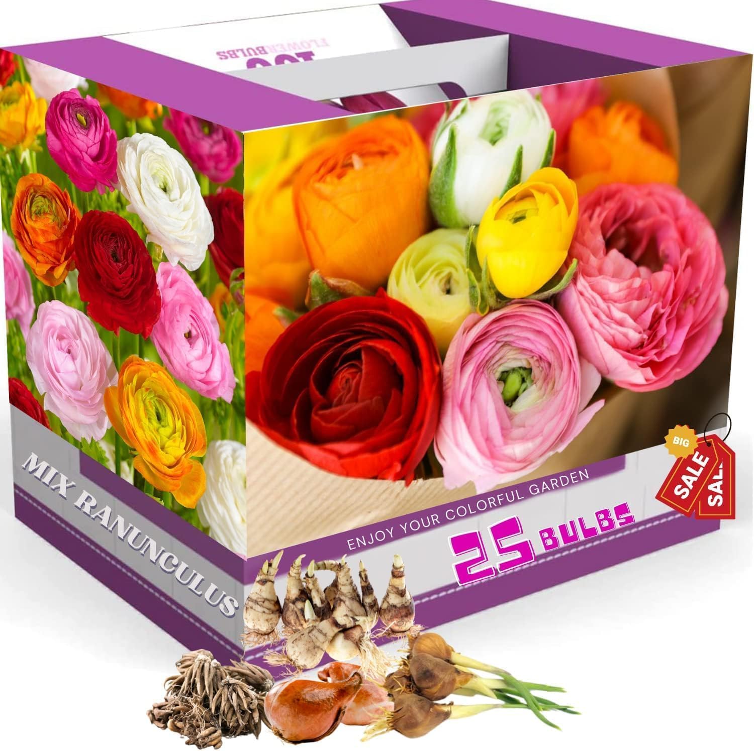 25 Ranunculus Bulbs for Spring Planting, Perennial Flowers Bulbs for Gardens, Vibrant Peony Buttercup Corms for Outdoor Borders (Mix Ranunculus)