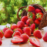 Set 4 Red Strawberry Plants Live, 3 to 5 Inc Tall, Hardy Strawberry Roots, Sweet Fruit Live Plants Indoor Outdoor Garden