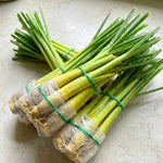 3 Lemongrass Plants Stalks for Outdoor Planting, Lemon Grass Live Plants, Outdoor Lemongrass Plants Live for Planting, 6-8 Inches Tall