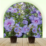 Live Rose of Sharon Plant 6-13" Tall, Althea Hibiscus Bush Well Rooted, Hardy Fragrant Hibiscus Syriacus Flowering Plant - Purple Blooms