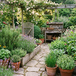 4 Live Fragrant and Edible Herb Plants Combo, Random Assorted Varieties: Rosemary, Basil, Lemon Balm, Mint and Other Herbs