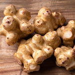 12 Large Live Jerusalem Artichoke Tubers Sunchokes Sunroots Fresh Rhizomes for Outdoor Planting, Winter Hardy, High Yield