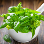 1 Pot Basil Plant Live, Sweet Basil Live Plant, 2 Plants Per Pot, 4-6” Tall Fragrant Herb Plant