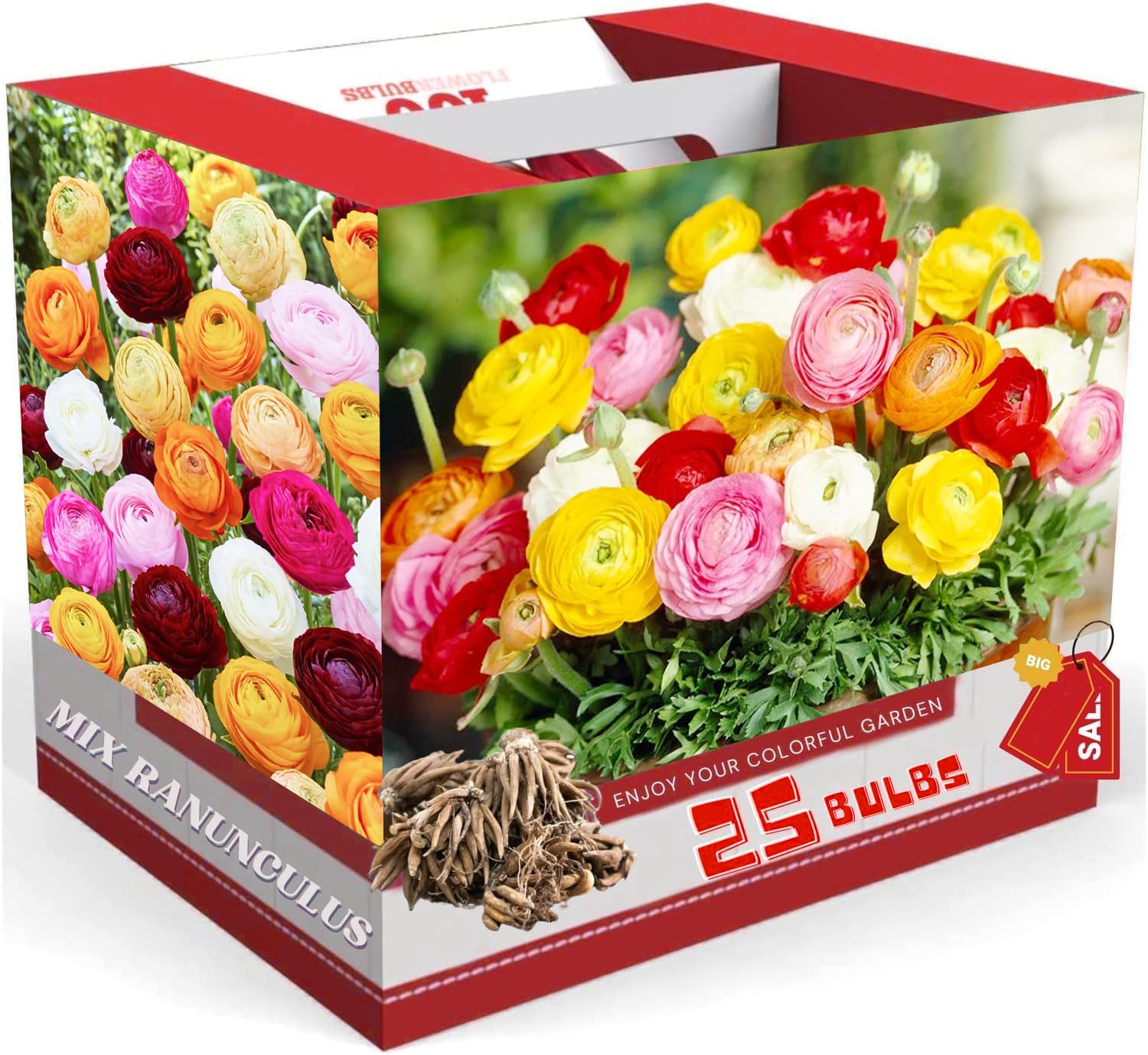 Pack 25 Ranunculus Bulbs for Fall Planting, Ranunculus Corms for Planting, Peony Ranunculus Bulbs for Planting, Ranunculus Flowers Ornaments Perennial Garden (Mix Ranunculus)