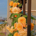 Climbing Rose Live Plant, 6 Months Old Starter, Fragrant Purple Climbing Roses for Planting Outdoor, No Pot (Orange)