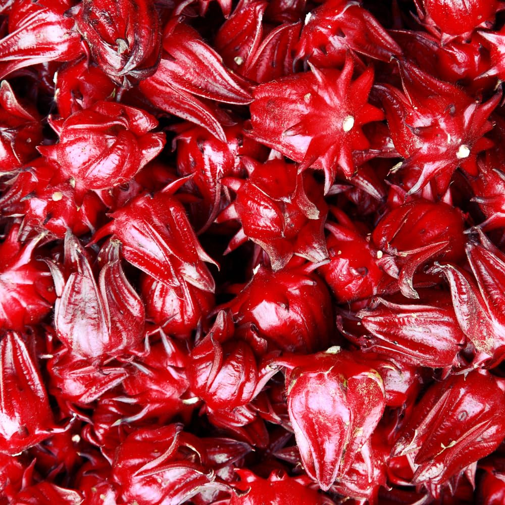 Red Roselle Hibiscus Live Plant 8-12 Inches Tall in Half Gallon Pot, Hardy Hibiscus Sabdariffa Plants, Tropical Flower Plant for Outdoor Garden