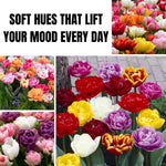 25 Tulip Bulbs for Spring Planting, Large Tulip Bulbs for Fall Planting, Flower Bulbs Garden Indoor Outdoor (Mix Double)