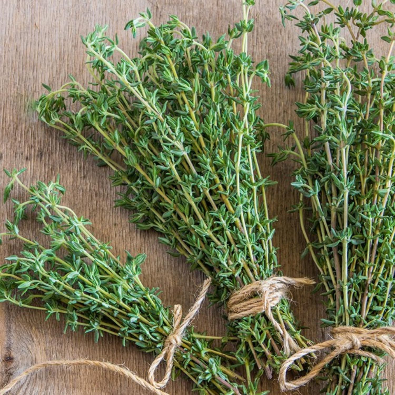 3 French Thyme Plant, Thyme Herb Planting Indoor Outdoor, 4-6 Inches Tall