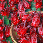 Sabdariffa Roselle Hibiscus Live Plant in 4 Inch Pot, Jamaican Red Roselle Starter, Hardy Live Flowering Plant for Outdoor Garden