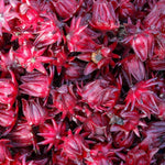 Sabdariffa Roselle Hibiscus Live Plant in 4 Inch Pot, Jamaican Red Roselle Starter, Hardy Live Flowering Plant for Outdoor Garden