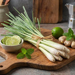 4 Lemongrass Plants Live for Planting, Lemon Grass Live Stalks, Perennial Herb Plants Teady to Grow 10 Inches