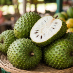 Soursop Tree 5-9'' Tall for Planting, Annona Muricata Seedlings, Hardy Live Tropical Fruit Tree for Patio, Container and Backyard Gardens