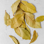Sweet Bay Leaf Live Plants Trees, Laurus Nobilis Bay Leaf Tree, Bayleaf Plant, Size 5 to 12 Inches Tall, No Pot