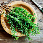 Pack 02 of Rosemary Plants Live, Live Rosemary Plants Indoor Outdoor, 3 to 6 Inches Long, Rosemary Starter Plant Indoor, Rosemary Live Plant