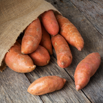 Sweet Potato Live Plant,  Starter Vine for Garden Planting, 4-6" Tall