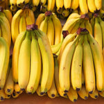 Live Banana Plant - Potted Banana Tree - Grow Your Own Fruit