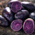 Heirloom Potato Seeds - True Vegetable Seeds for Growing