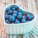 Blueberry Plants Live for Planting Set 2 Bushes 5 to 9 Inches Blue