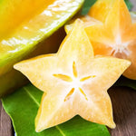 Star Fruit Tree Live Carambola Plant - 24-36 Inch Fruit Tree