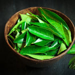 Curry Leaf Plant - 5-8 Inch Live Plant in Pot - Aromatic Herb