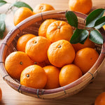 Tangerine Trees Potted Dancy Mandarin 2-3 Ft Indoor Outdoor No Shipping to CA