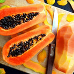 Dwarf Papaya Tree Live Plant 10-14 Inch Potted Fruit Tree