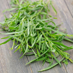 French Tarragon Plant Live Herb Plug 3-5 Inches Outdoor Planting