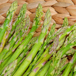 Green Asparagus Plants - 9 Live Bareroot Asparagus Crowns - Vegetable Plants