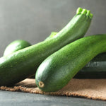 25 Grey Zucchini Summer Squash Seeds - Mexican Variety for Planting
