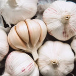 Garlic Bulbs for Planting - Hard Neck Variety - Pack of 4
