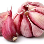 Hardneck Garlic Bulbs for Planting - 1 Lb - Home Garden Ready