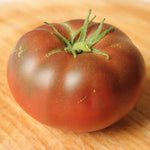 Heirloom Black Tomato Plants - 2 Live Starter Plants - 5-9 Inches Tall - Vegetables - No ship CA