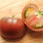 Heirloom Black Tomato Plants - 2 Live Starter Plants - 5-9 Inches Tall - Vegetables - No ship CA