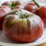 Heirloom Purple Tomato Plant Live 5-9 Inches Tall for Indoor Outdoor